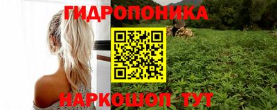 твердый Краснодар