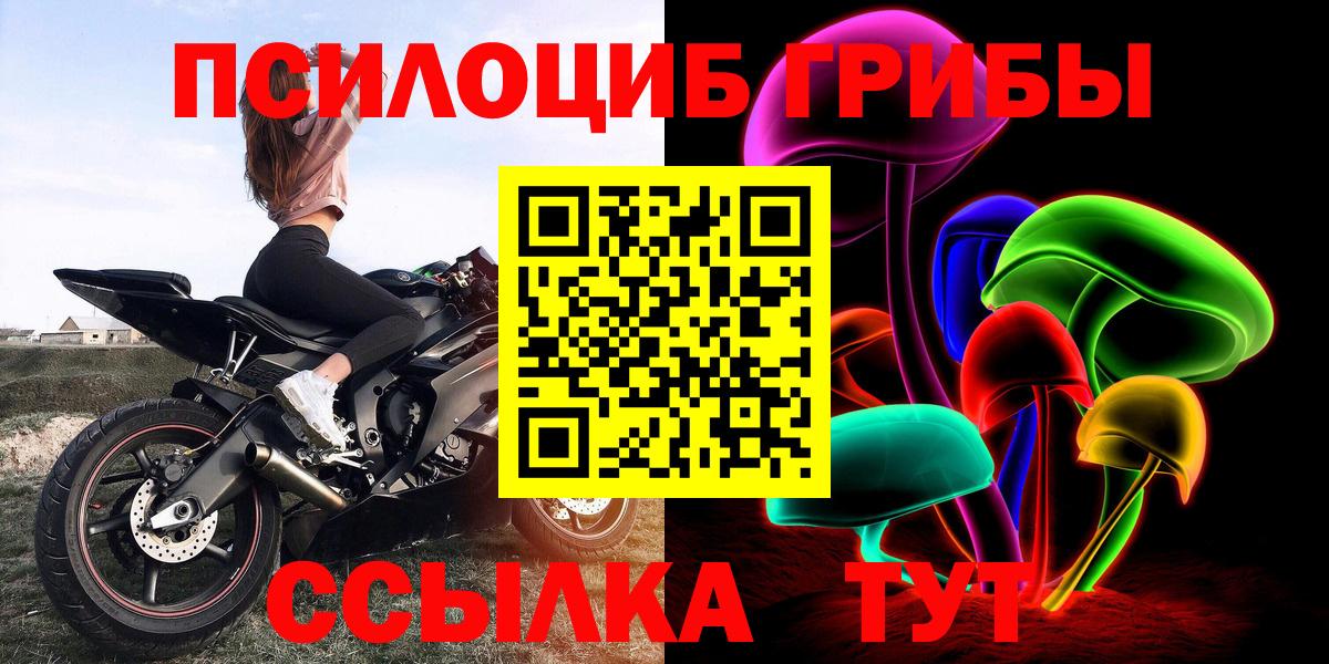 Ессентуки  Псилоцибиновые грибы MAGIC MUSHROOMS  где купить наркоту  Вход с VPN 