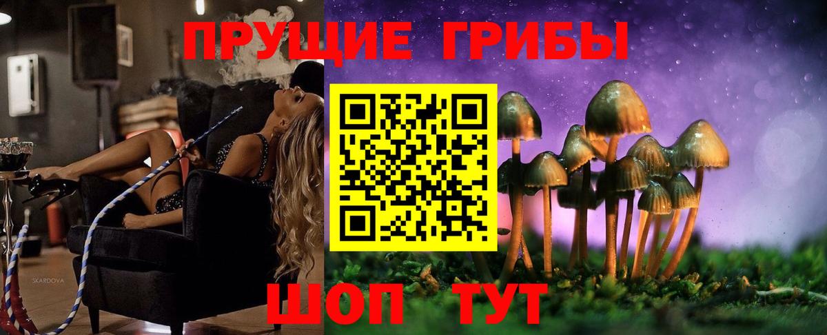 Псилоцибиновые грибы мухоморы Ессентуки